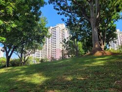 Blk 35 Rumah Tinggi View (Bukit Merah), HDB 5 Rooms #521179551